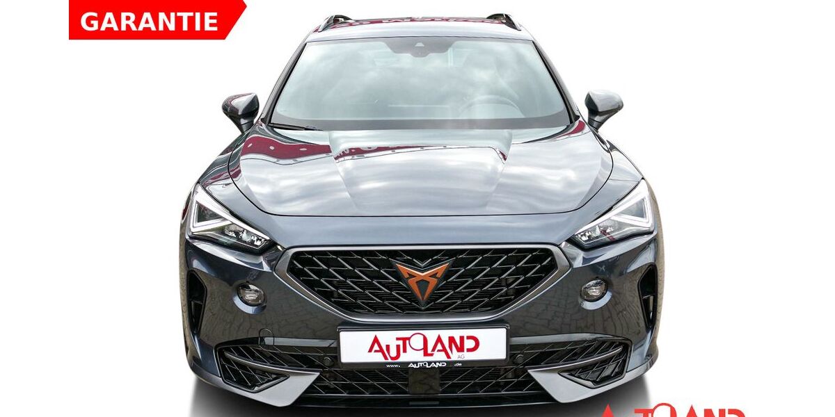 Cupra Formentor 68.996 km 28.950 &euro; Greifswald 17489