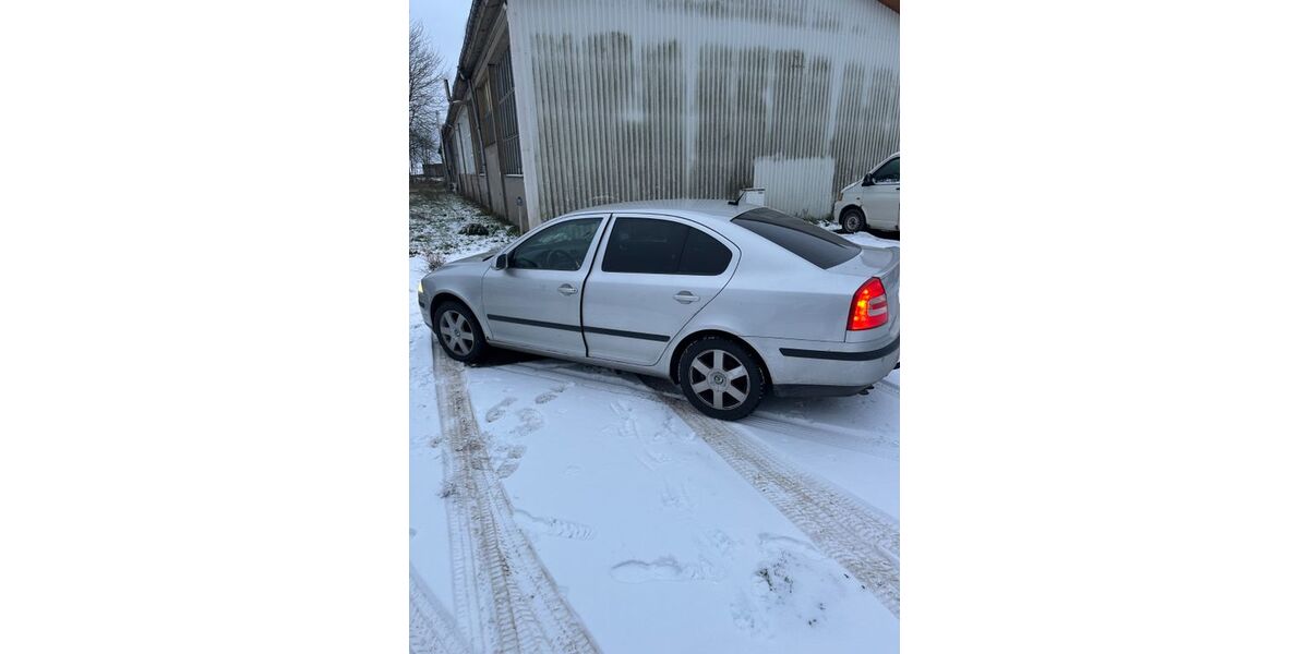 Skoda Octavia 213.823 km 1.999 &euro; Karlsburg 17495