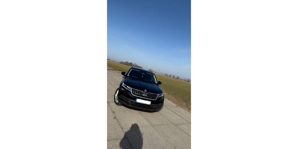 Skoda Kodiaq 180.000 km 20.000 &euro; Zemitz 17440
